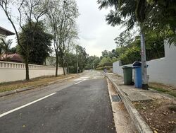 Leedon Park (D10), Detached #543494431